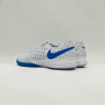 Nike Lunar Gato II Футзалки Мужские 580456 013