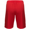 Шорты Nike SPM Dry Stadium Short 2016/17 808430-601