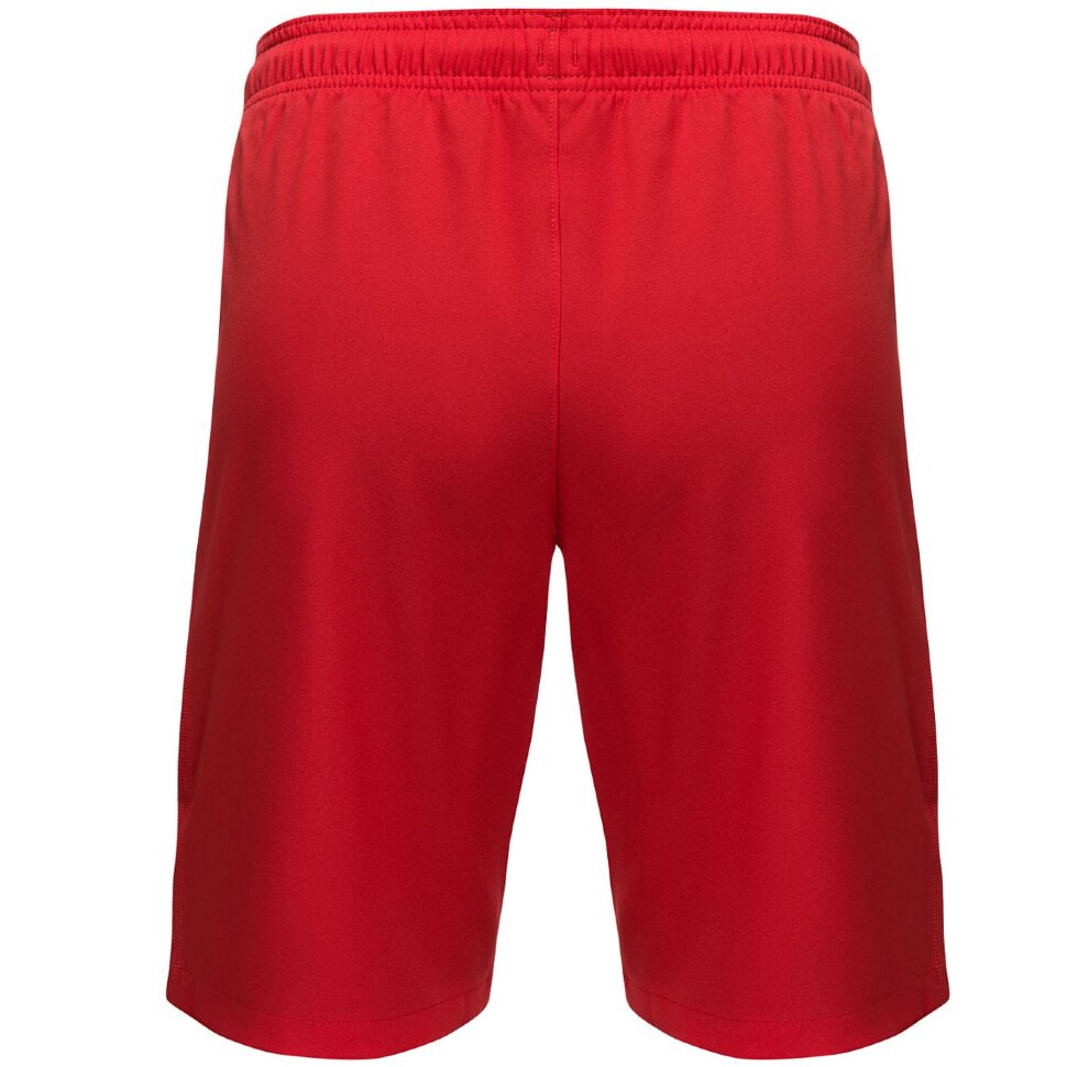 Шорты Nike SPM Dry Stadium Short 2016/17 808430-601