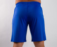 Шорты TQ Sports Leader