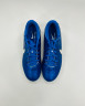 Nike Legend 10 Academy FG/MG Бутсы Мужские DV4337-400
