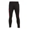 Спортивные брюки Joma Championship VII 103200-106